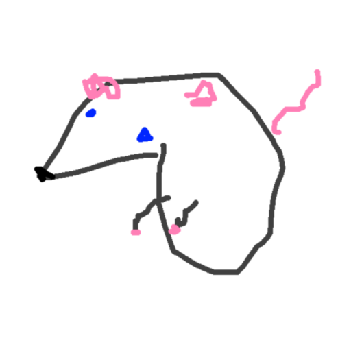 anymousxe